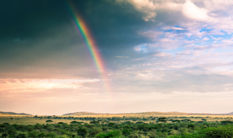 Bakgrunder-Insp.Day-2-e1771426561136-aspect-ratio-2000-1354