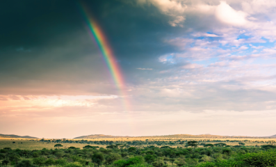 Bakgrunder-Insp.Day-2-e1771426561136-aspect-ratio-2000-1354