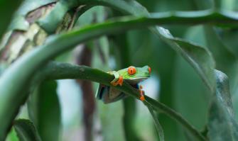 COP16-artikel-1-scaled-aspect-ratio-1920-1300