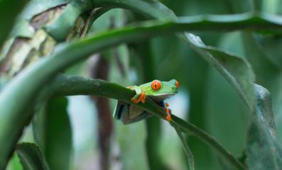 COP16-artikel-1-scaled-aspect-ratio-1920-1300