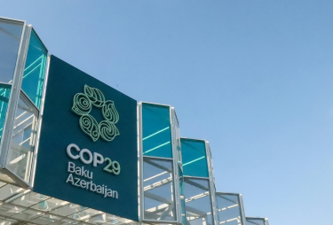 COP29 2