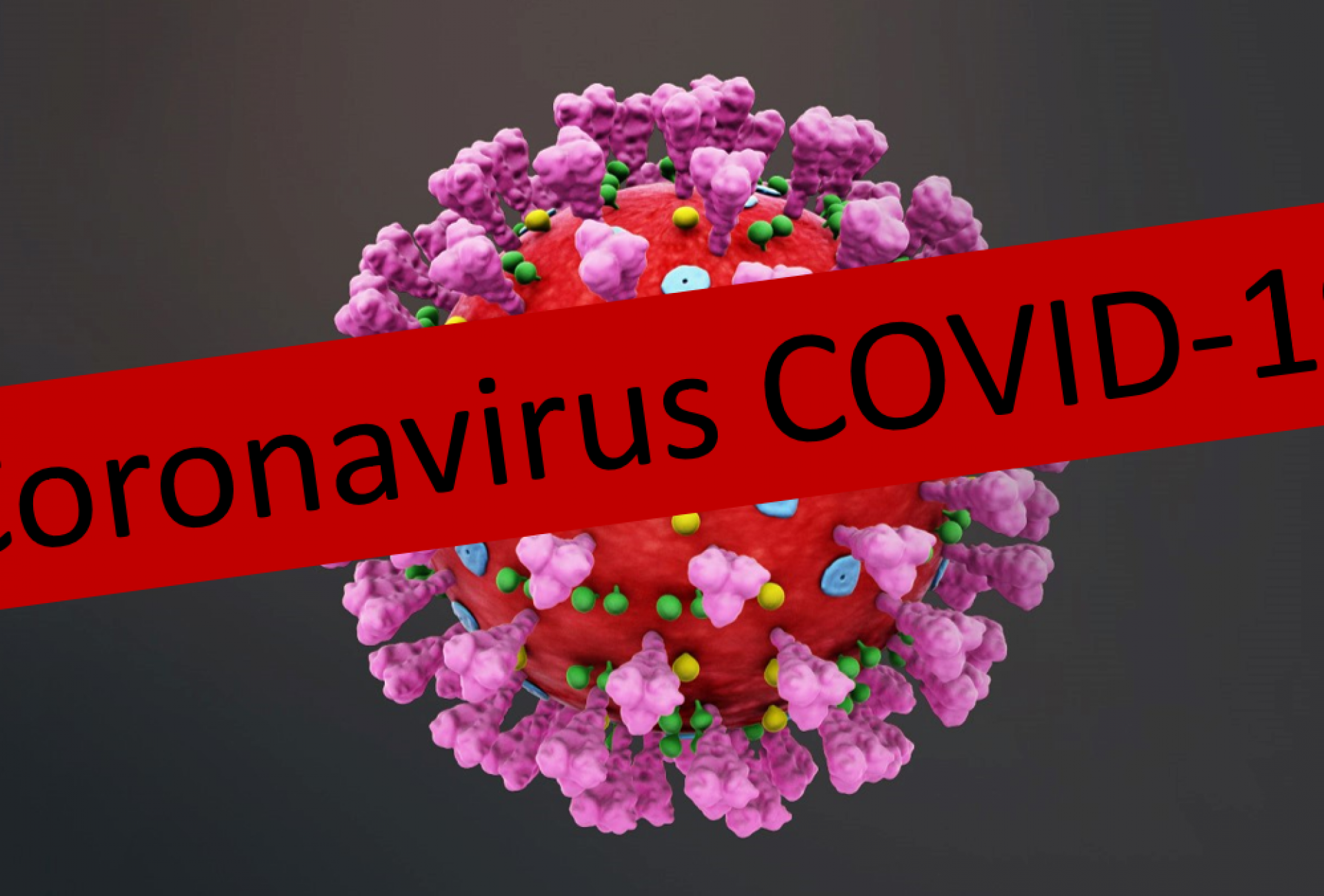 Covid-19-v3.png