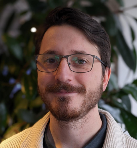 David-aspect-ratio-744-744 David