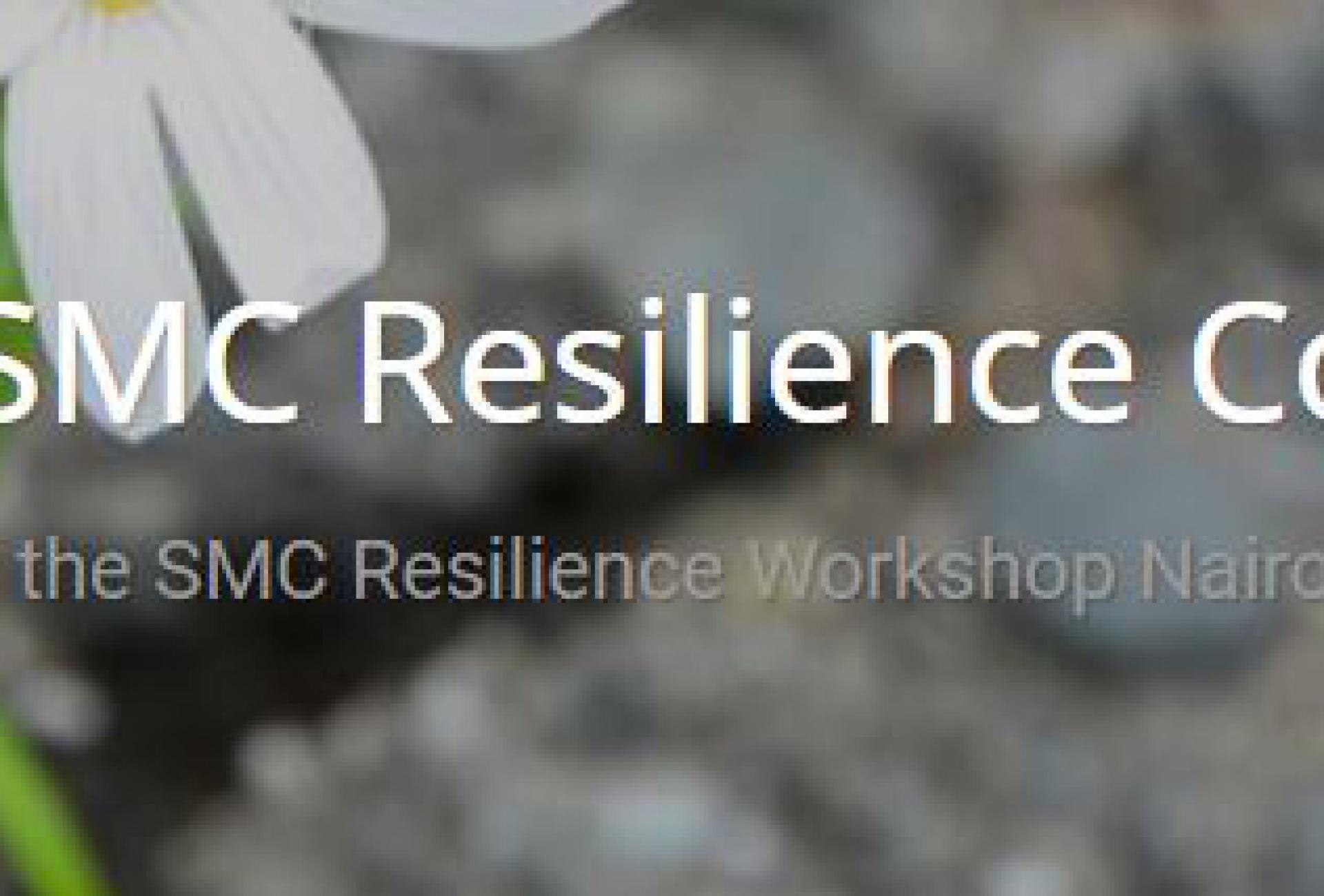 Resiliensblogg_webb_NY.jpg