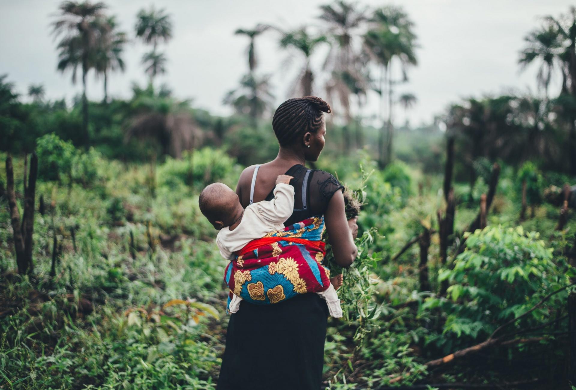En regnskogspromenad i Sierra Leone. En kvinna med ett barn på ryggen på vandring i regnskogen i Sierra Leone.