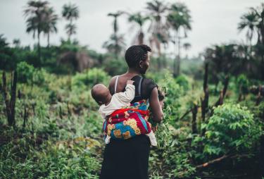 En regnskogspromenad i Sierra Leone. En kvinna med ett barn på ryggen på vandring i regnskogen i Sierra Leone.