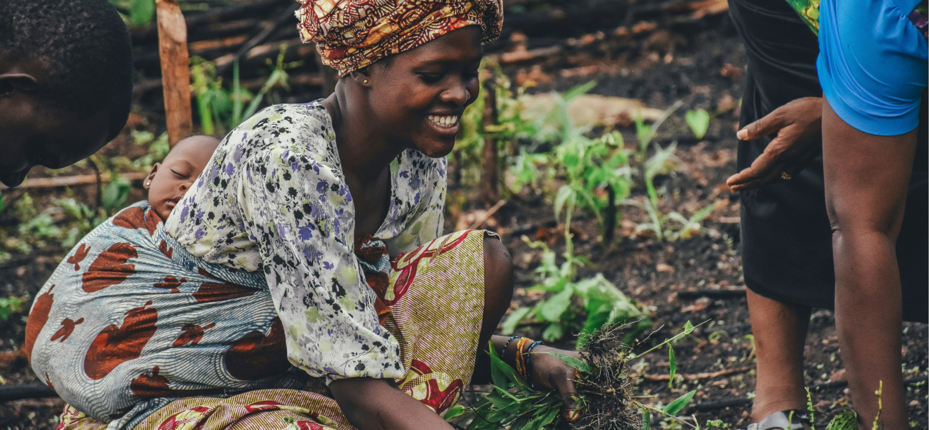 startsida webb (skärm och mobil)-1