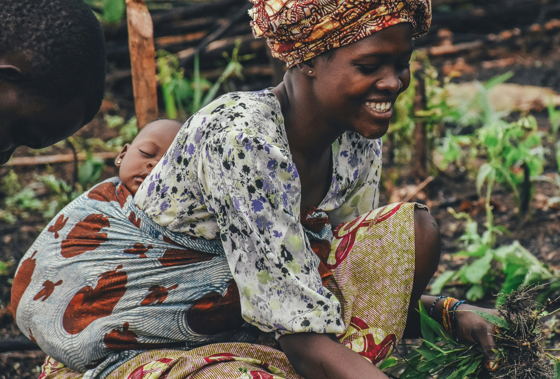 startsida-webb-skarm-och-mobil-1-scaled-aspect-ratio-1920-1300